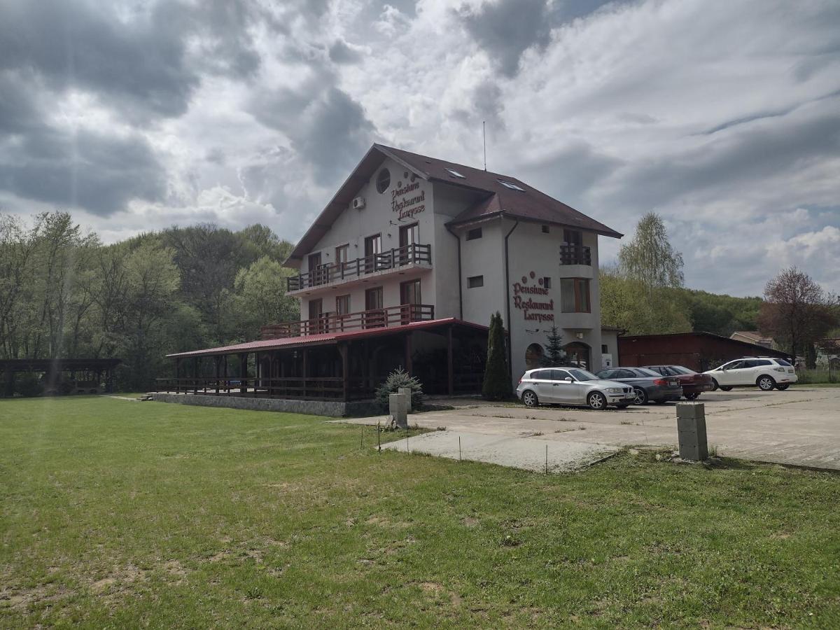 Pensiunea Larysse Baile Felix Bagian luar foto