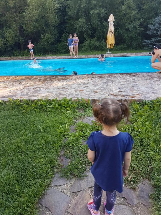 Pensiunea Larysse Baile Felix Bagian luar foto
